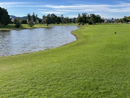 184-08-01-2026 IMG_6519